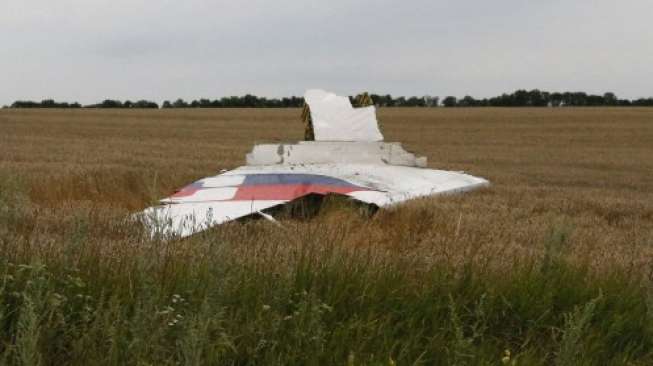  PM Ukraina: Penembak MH17 Militer Rusia, Bukan 'Gorila Mabuk'