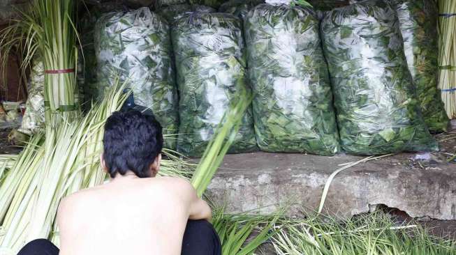 Penjual janur bungkus ketupat di jalan Palmerah Raya Jakarta, Senin (21/7). [suara.com/Adrian Mahakam]