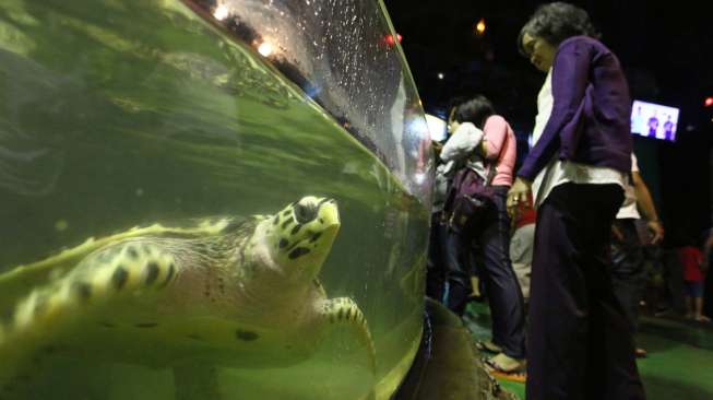 Pengunjung memadati tempat wisata biota laut Seaworld Ancol Jakarta, Senin (28/07). Usai menjalankan ibadah di bulan suci Ramadhan, warga Jakarta menjadikan seaworld ancol sebagai tempat berlebaran bersama keluarga. (Suara.com/Kurniawan Mas'ud)