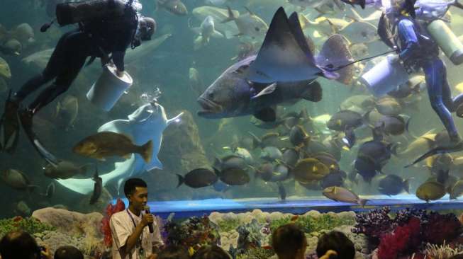 Pengunjung memadati tempat wisata biota laut Seaworld Ancol Jakarta, Senin (28/07). Usai menjalankan ibadah di bulan suci Ramadhan, warga Jakarta menjadikan seaworld ancol sebagai tempat berlebaran bersama keluarga. (Suara.com/Kurniawan Mas'ud)