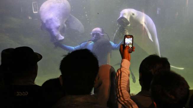 Pengunjung memadati tempat wisata biota laut Seaworld Ancol Jakarta, Senin (28/07). Usai menjalankan ibadah di bulan suci Ramadhan, warga Jakarta menjadikan seaworld ancol sebagai tempat berlebaran bersama keluarga. (Suara.com/Kurniawan Mas'ud)