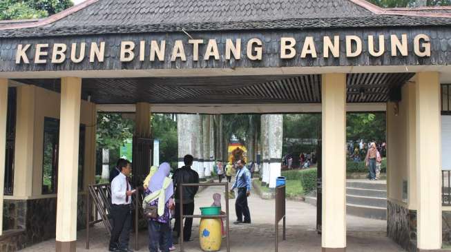 Kebun Binatang Bandung, Tempat yang Cocok untuk Berlibur dan Belajar