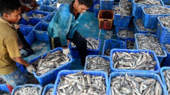 Awas Ada Ikan Berpenyakit Tumor