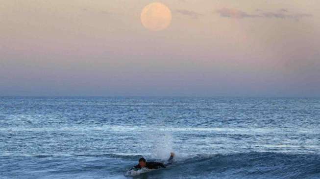 Fenomena alam supermoon muncul di wilayah Sydney, Australia, Minggu (10/8). [Reuters/Jason Reed]