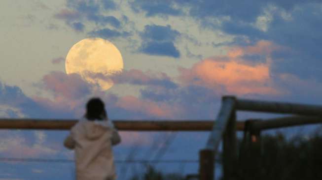 Fenomena alam supermoon muncul di wilayah Sydney, Australia, Minggu (10/8). [Reuters/Jason Reed]