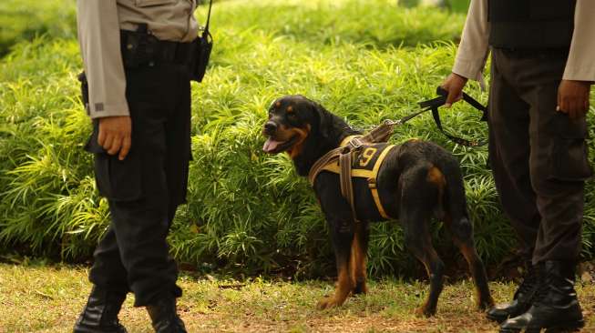 Aparat Kepolisian berjaga di depan gedung Mahkamah Konstitusi RI Jakarta, Rabu (20/8). Menjelang diumumkannya hasil keputusan MK terkait sengketa pilpres 2014, Ibu Kota DKI Jakarta saat ini berstatus Siaga 1. [suara.com/Kurniawan Mas'ud]