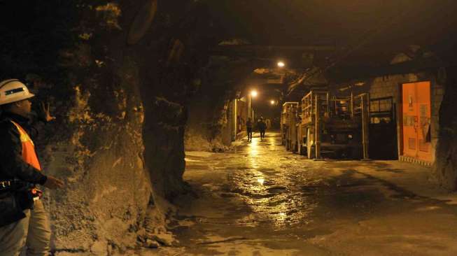 Pekerja  menyusuri tunnel tambang bawah tanah DOZ PT Freeport Indonesia di Tembagapura, Papua, Selasa (19/8). PT Freeport Indonesia mengoptimalkan penambangan underground DOZ dan Deep MLZ sebagai transisi produksi mineral Grasberg open pit yang akan berhenti pada awal tahun 2017. [Antara/Puspa Perwitasari]