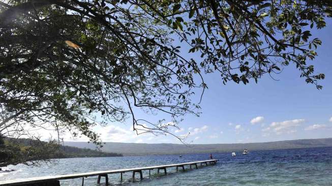 Kawasan Taman Wisata Alam Laut Pulau Moyo, Kecamatan Labuhan Badas, Kabupaten Sumbawa, Provinsi Nusa Tenggara Barat, Senin (25/8). [Antara/Andika Wahyu]