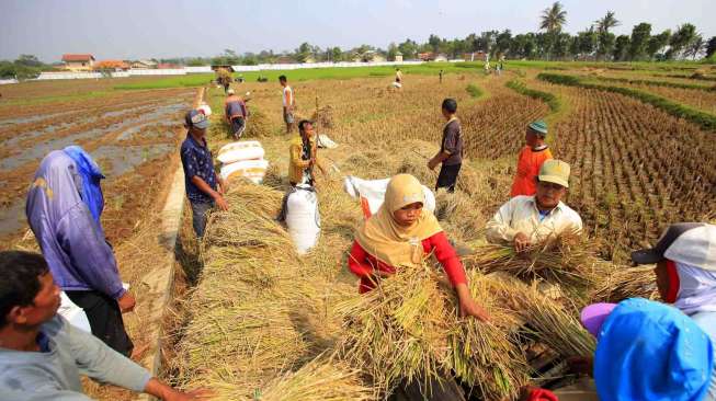 UI Luncurkan Warung Ilmiah Lapangan sebagai Informasi bagi Petani