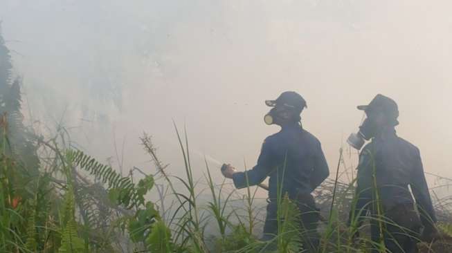 Satelit Terra dan Aqua Deteksi Titik Panas di Provinsi Jambi Bertambah