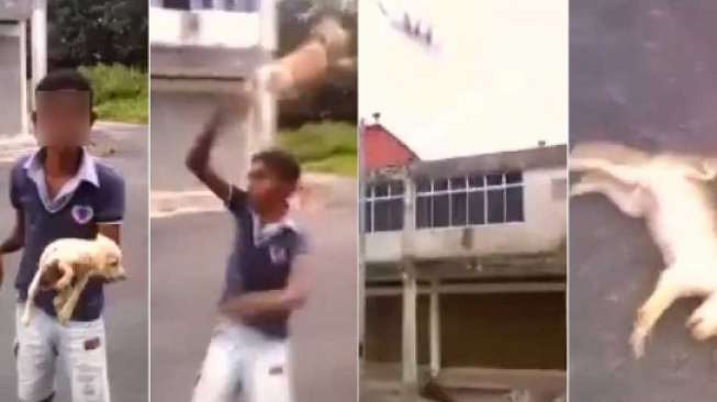 Video Bocah Menyiksa Anjing Hingga Mati Menuai Kecaman