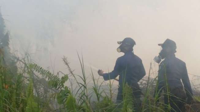 Kabut Asap Kembali Kepung Kota Sampit