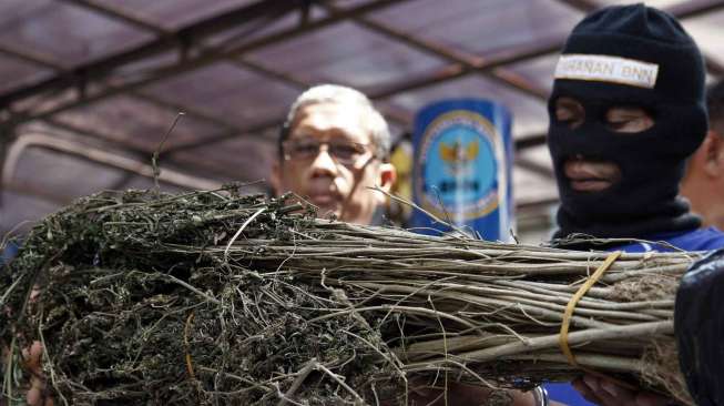 Badan Narkotika Nasional (BNN) memusnahkan barang bukti Narkotika yang ke-21 kalinya yakni sabu seberat 222,5 gram di Kantor BNN Jakarta, Selasa (16/9). [suara.com/Kurniawan Mas'ud]