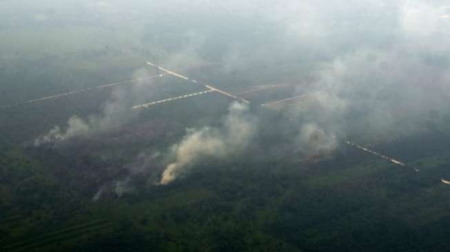 Titik Api Muncul di Sulawesi Selatan