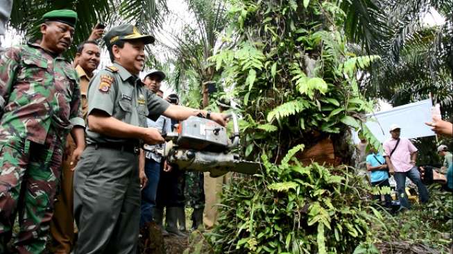 Cegah Bencana Ekologi, Sawit Ilegal di Hutan Lindung Dimusnahkan