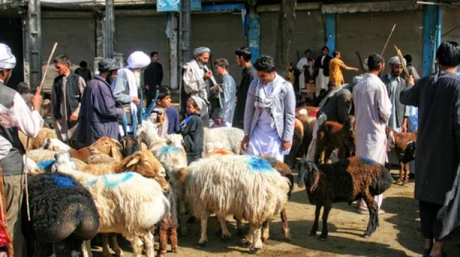 Cegah Covid-19, Afghanistan Bebaskan 10.000 Narapidana