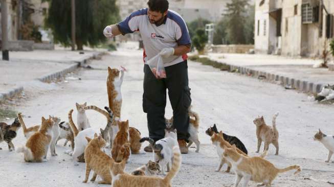 Sopir Ambulans Berhati Mulia, Peduli Ratusan Kucing Terlantar