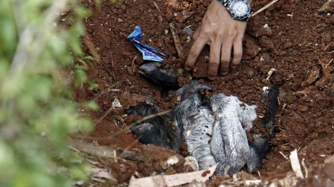 Puluhan mahasiswa yang tergabung dalam Paguyuban Ini Bangsaku melakukan aksi tolak bala di depan gedung DPR/MPR RI Senayan Jakarta, Minggu (5/10). [suara.com/Kurniawan Mas'ud]