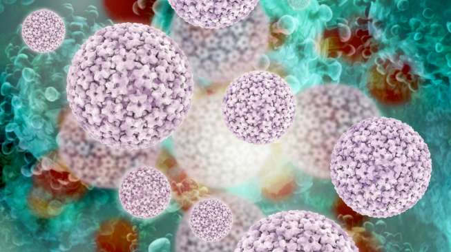 Human Papiloma Virus (HPV), virus penyebab kanker serviks. (shutterstock)