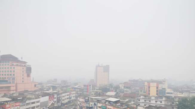 Tujuh Perusahaan Penyebab Kabut Asap Digugat