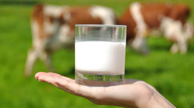 Ilustrasi susu sapi. (Sumber: Shutterstock)