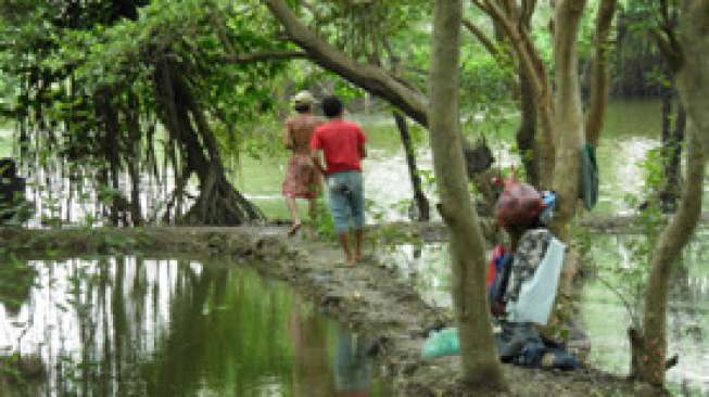 Asyiknya Menyusuri Hutan Mangrove di Jakarta