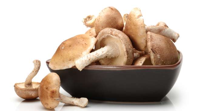 Ilustrasi jamur shiitake. (Shutterstock)