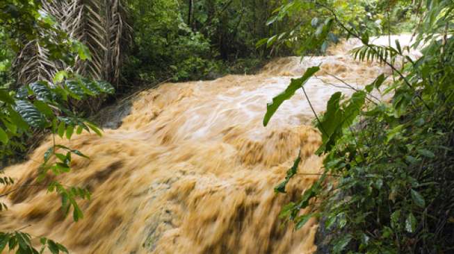 Tiga WNI Tewas Disapu Banjir Bandang di Malaysia