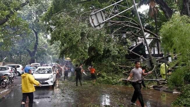 Akibat dari perubahan cuaca ekstrim dan pergantian musim. 