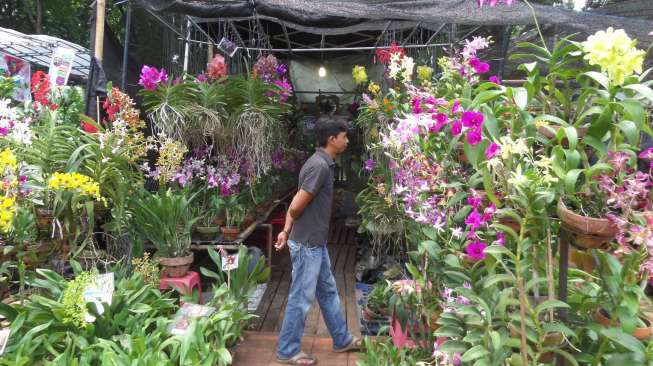 Berburu Tanaman Hias di "Jakarta Expo Taman 2014"