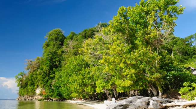 Sertifikat 92 Pulau Terluar Selesai Pada 2015