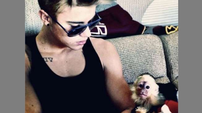 Kebun Binatang Jerman: Monyet Justin Bieber Kemungkinan Ilegal