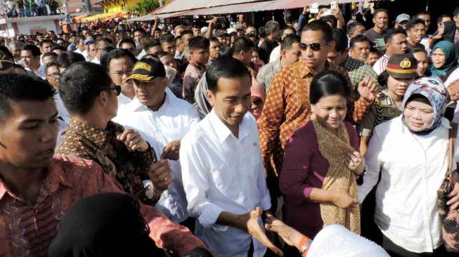 Jokowi Yakin Proyek Kawasan Terpadu Tanjung Api-Api Terlaksana