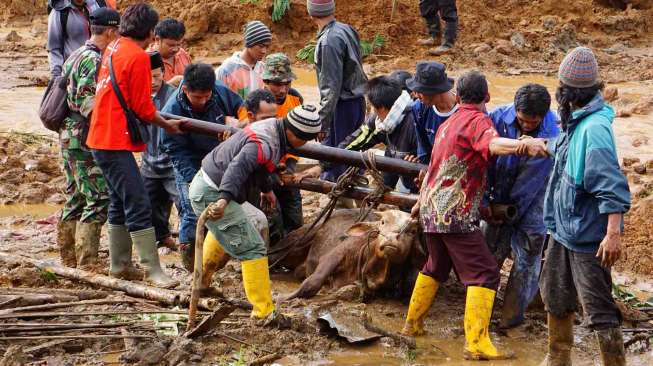 Jumlah Korban Longsor Banjarnegara Bertambah Jadi 24 Orang