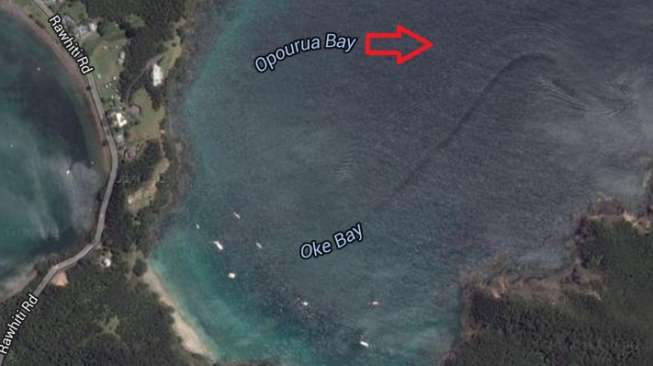 Misteri Penampakan Monster Laut di Google Earth