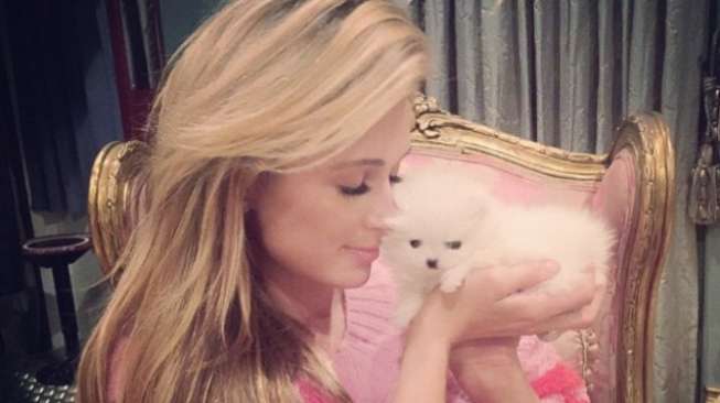 Anjing Kecil Koleksi Paris Hilton Ini Harganya Ratusan Juta