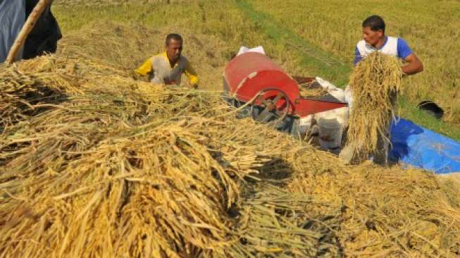 Petani Mengaku Dimintai Duit saat Terima Bantuan