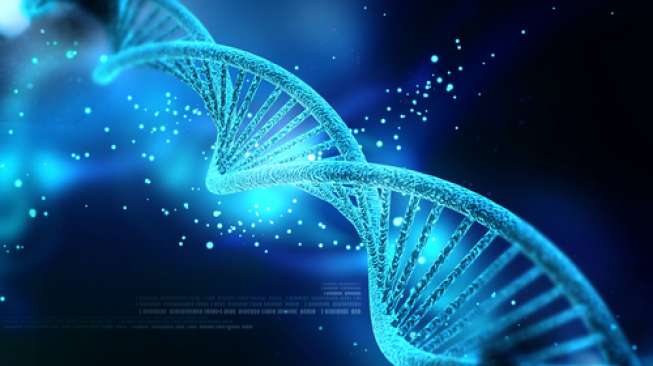 Ilustrasi DNA (Shutterstock).