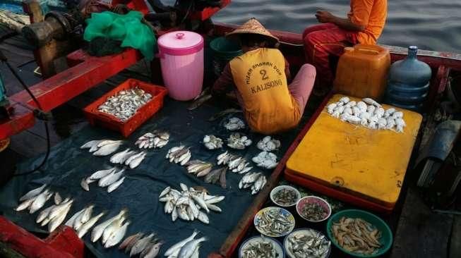 Harga Ikan Terpantau Mulai Naik Jelang Ramadan dan Hari Raya Idul Fitri