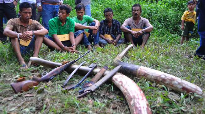 Rekonstruksi Pembantaian Gajah