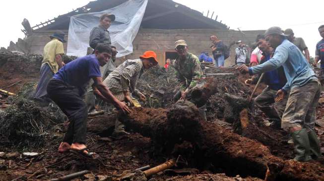 Gelondongan Kayu Tebangan Timpa Belasan Rumah di Sumbawa