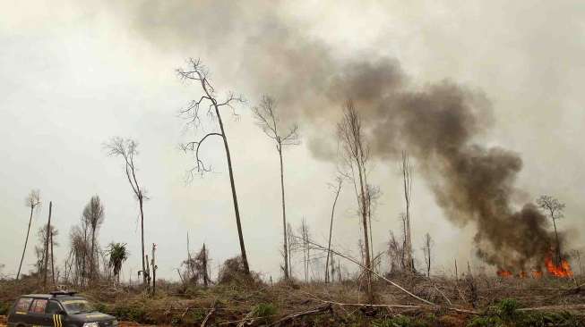 13 Titik Api Terdeteksi di Hutan Provinsi Riau