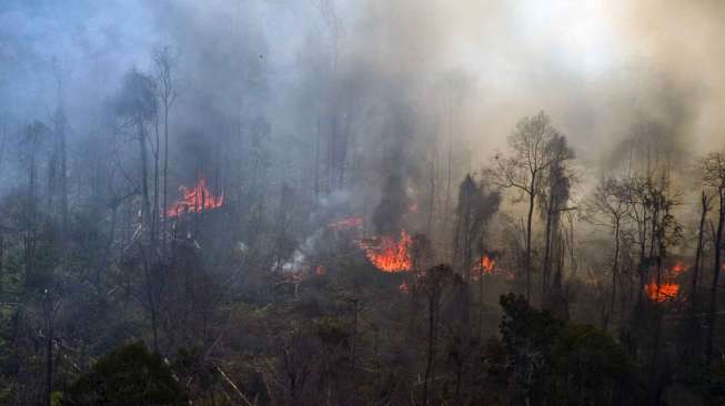 Status Siaga Darurat Kebakaran di Riau Diperpanjang