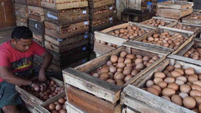 Harga Telur Ayam Turun