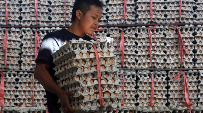 Harga Telur Ayam Turun