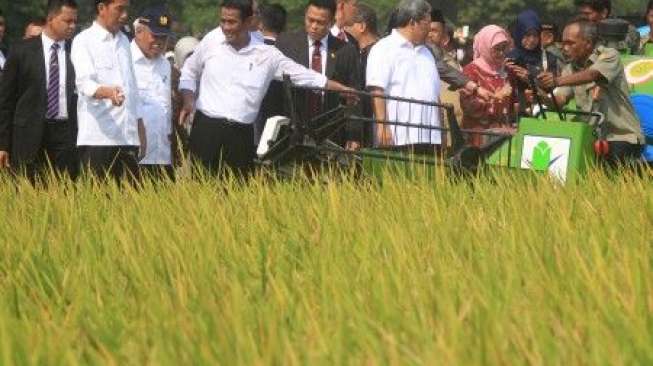 Presiden Jokowi: Tidak Akan Ada Lagi Impor Beras