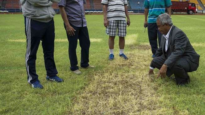 PSSI menyatakan pihaknya dapat mentoleransi kondisi rumput yang sebagian menguning di GBK setelah lapangan digunakan konser One Direction.