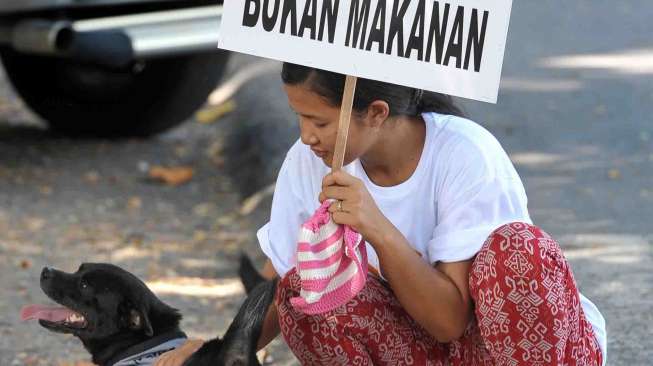 Anti Pembantaian Anjing