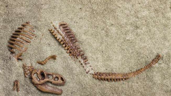 Kanker Ganas Ditemukan Pertama Kali pada Fosil Dinosaurus - 1