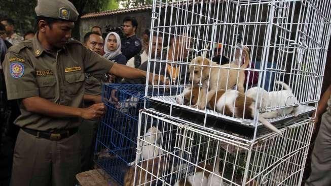 razia pedagang anjing dan kucing ilegal di jalan Latuharhari Jakarta, Kamis (9/4).